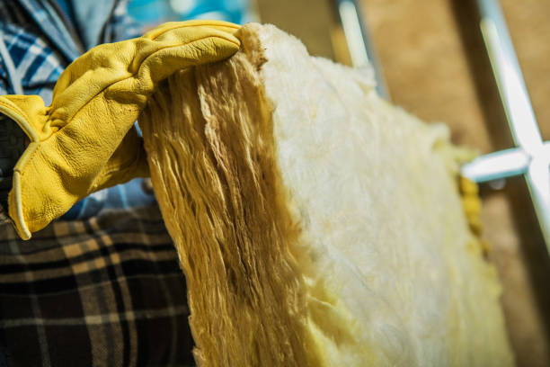 Best Residential Insulation Services  in Napervle, IL