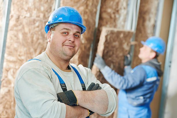 Best Attic Insulation Near Me  in Napervle, IL